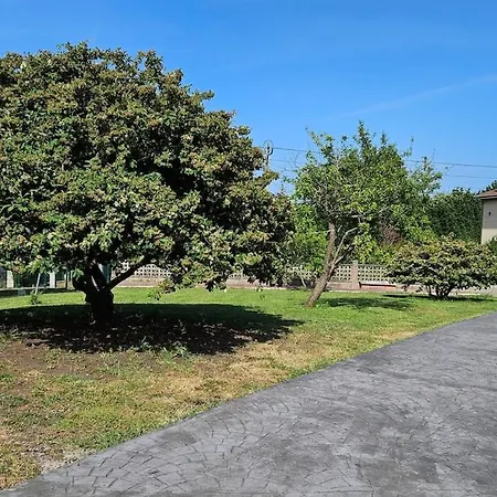 Villa De Lujo En Gijon, Piscina Climatizada, Bar